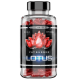 Lotus Black (90капс)